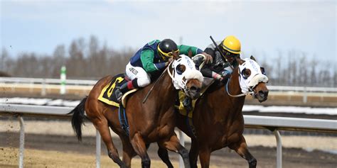 edmonton horse races|century mile racetrack schedule.